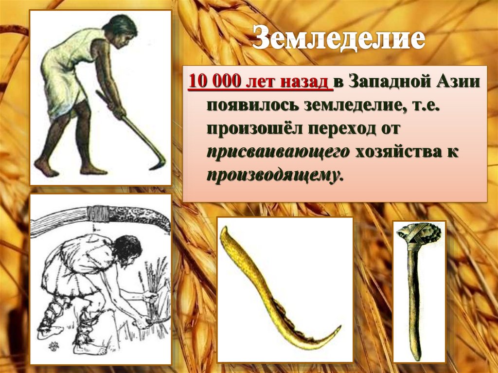 История земледелия презентация