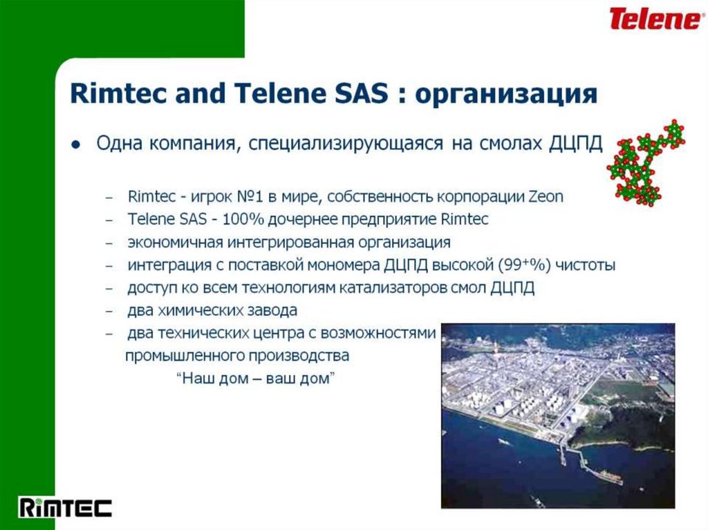 Rimtec and Telene SAS : организация