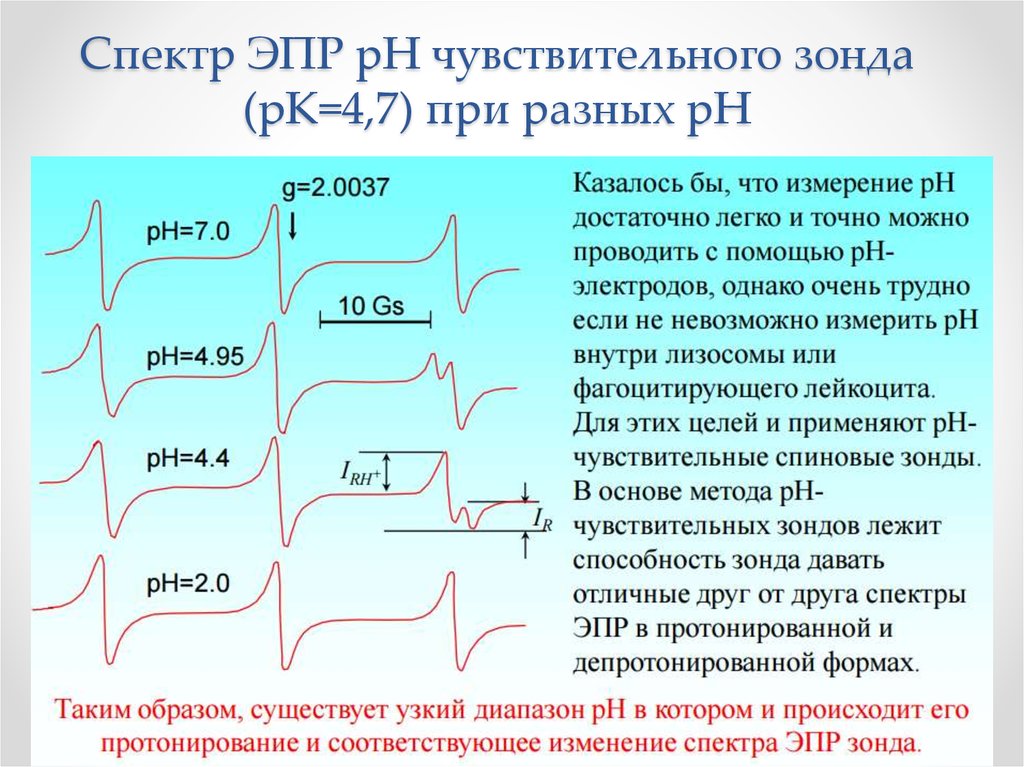 Спектр ЭПР рН чувствительного зонда (pK=4,7) при разных рН