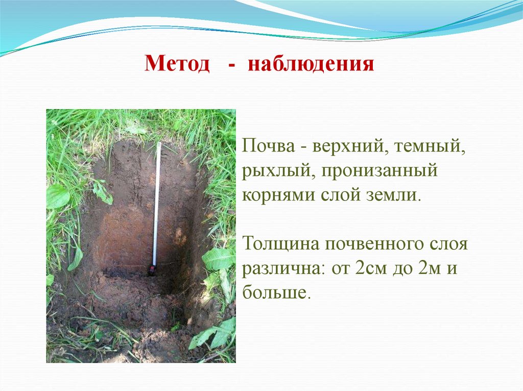 Верхний слой почвы. Корневой слой почвы. Наблюдение за почвой. Верхний рыхлый слой земли это. Толщина почвы в см.