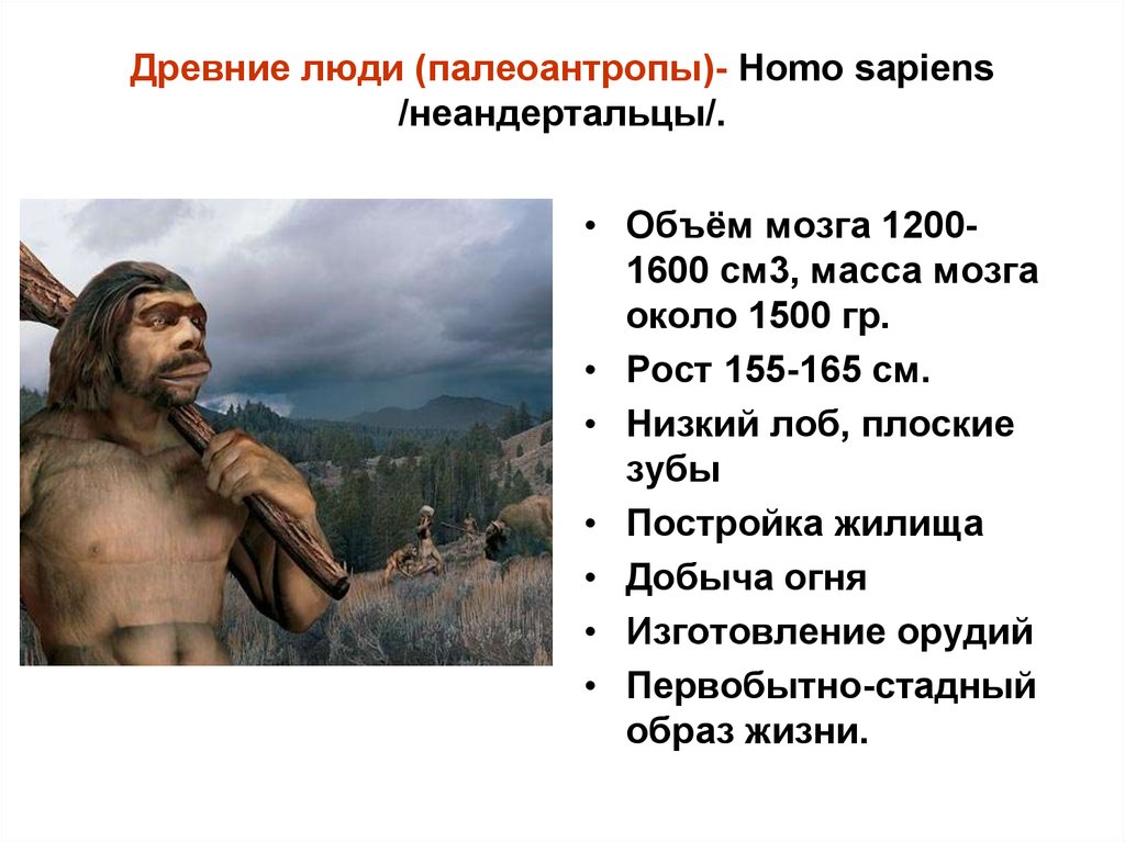 Примеры древнейших людей. Древние люди Палеоантропы. Древние люди неандертальцы характеристика. Объём мозга homo Neanderthalensis. Древние люди Палеоантропы этапы эволюции.