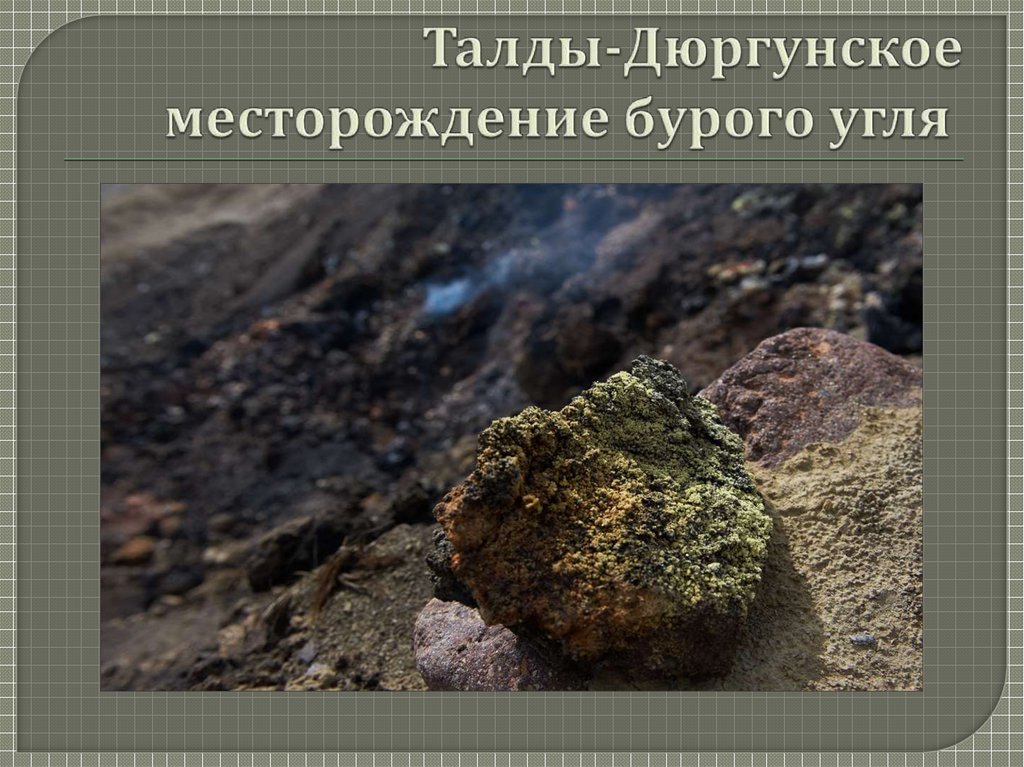 Талды-Дюргунское месторождение бурого угля 
