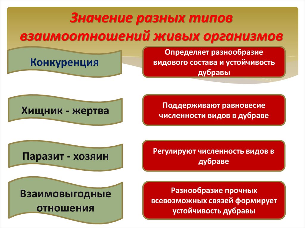 Разные виды отношений