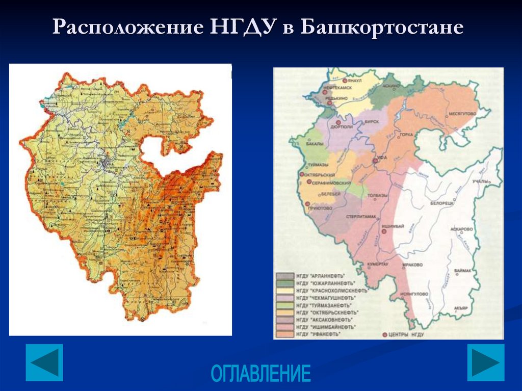 Бортничество в башкортостане презентация