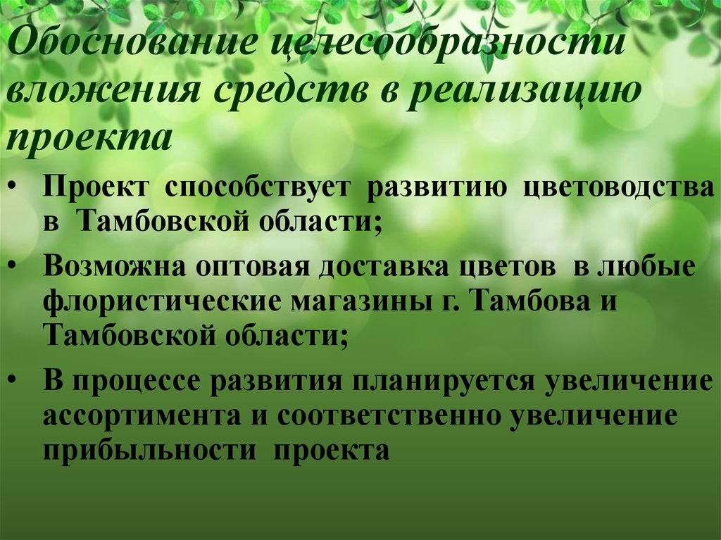 Обоснование целесообразности. Целесообразность вложения средств.