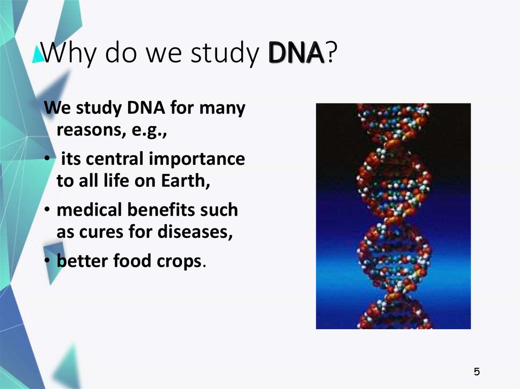 Why do we study DNA?