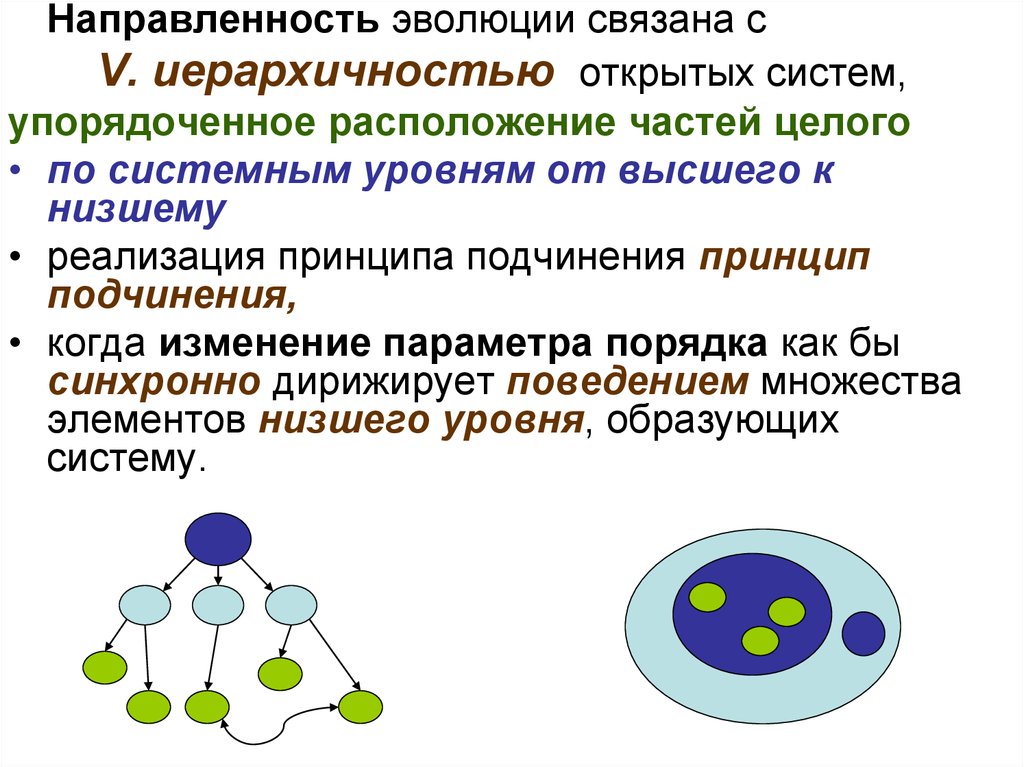 Макроэволюция 9 класс презентация