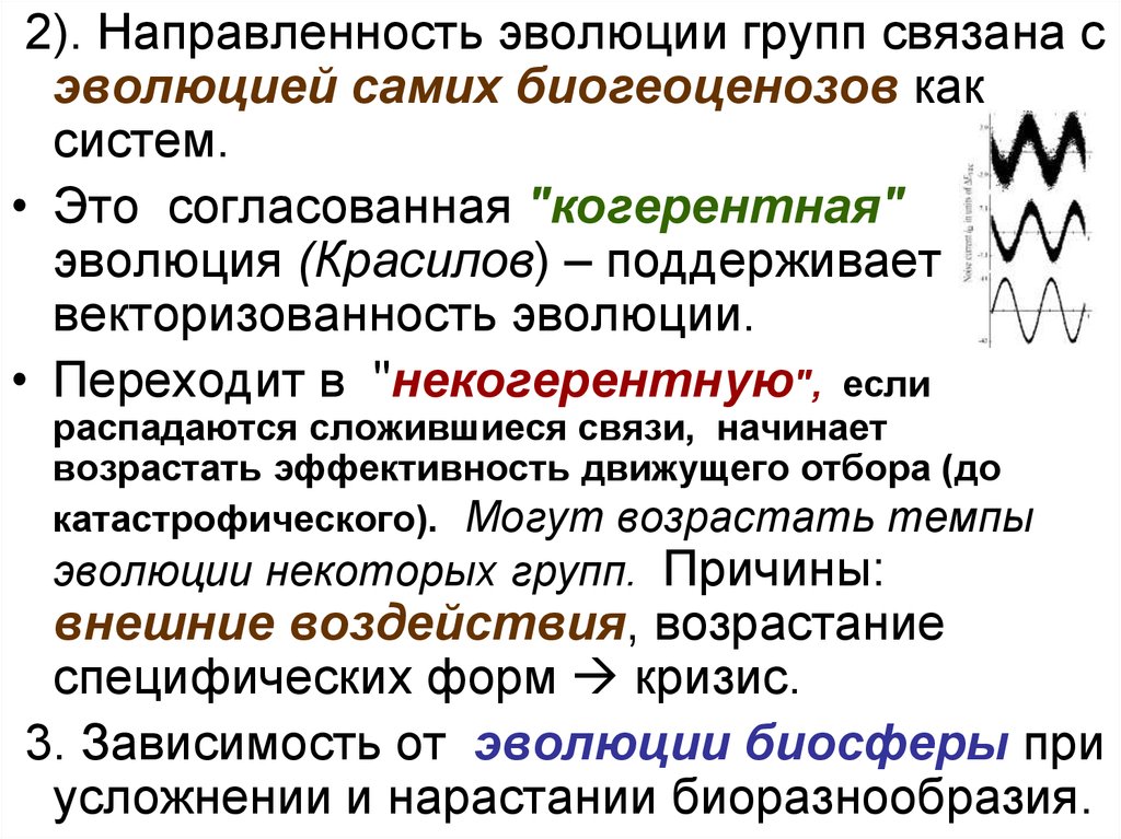 Согласно синтетической теории эволюции элементарным