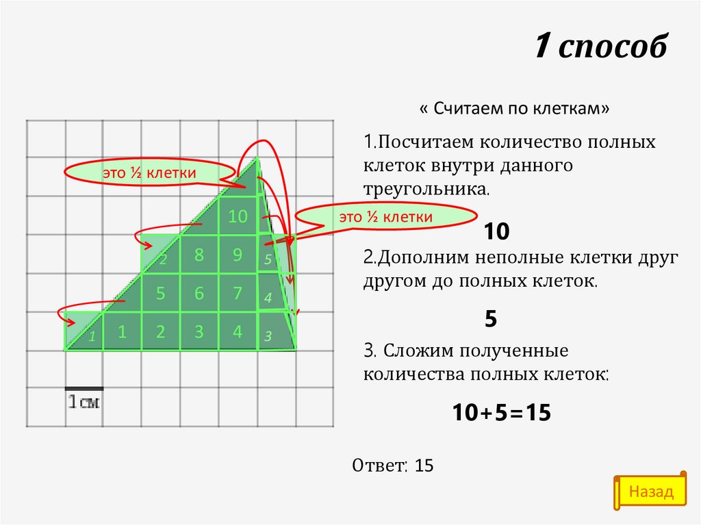 Определи количество клеток. Как считать неполные клетки. Методы подсчета количества клеток. Как посчитать неполные клетки. Как подсчитать клеточки.