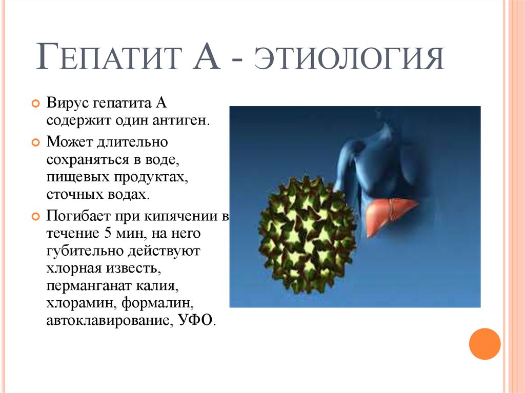Гепатит описание вируса. Гепатит б этиология. Вирус гепатита а этиология. Этиология вирусных гепатитов. Гепатит вирусный гепатит этиология.