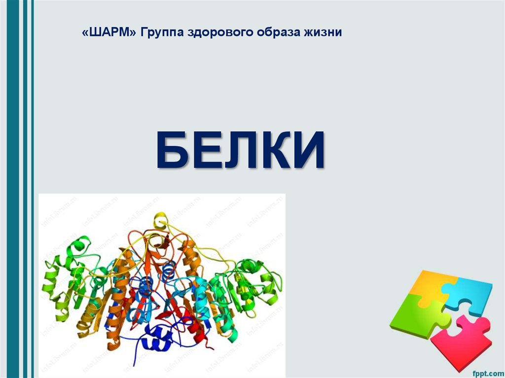 Белки в жизни человека презентация