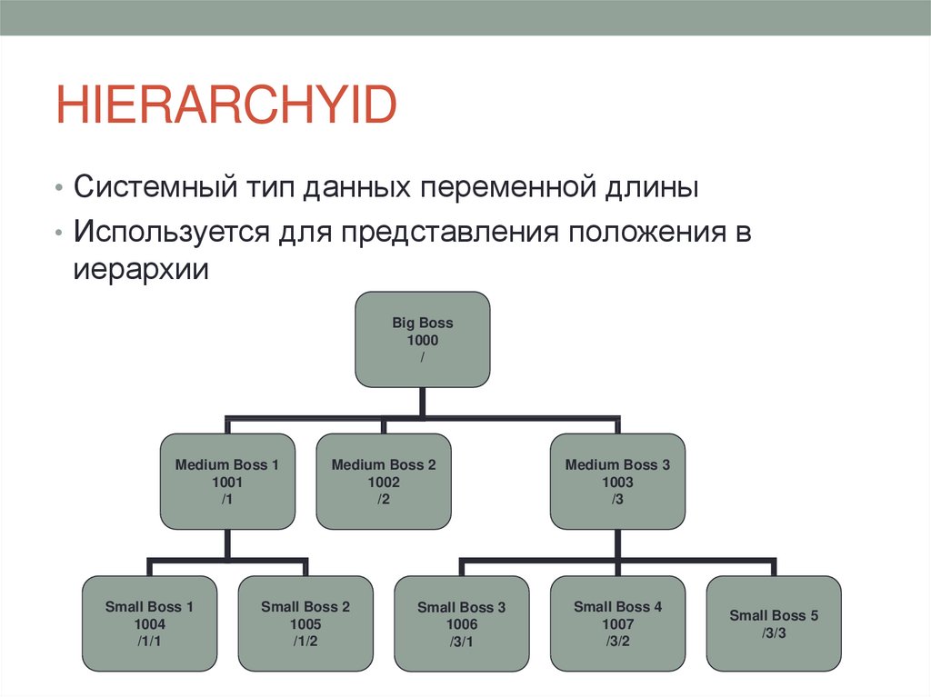 Виды данных. Системные типы данных. Иерархия типов данных и переменных. Системный вид информаци. База данных переменные.