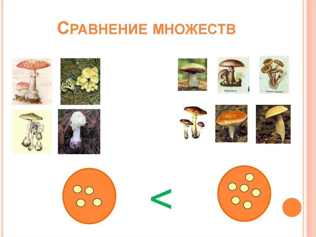 Разные множества. Сравнение множеств. Способы сравнения множеств. Задания на сравнение численности множеств. Сравнение двух множеств.