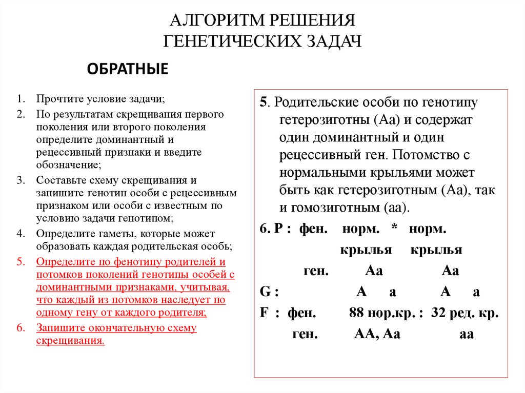 Решение задач по генетике с объяснением и ответами на все типы презентация