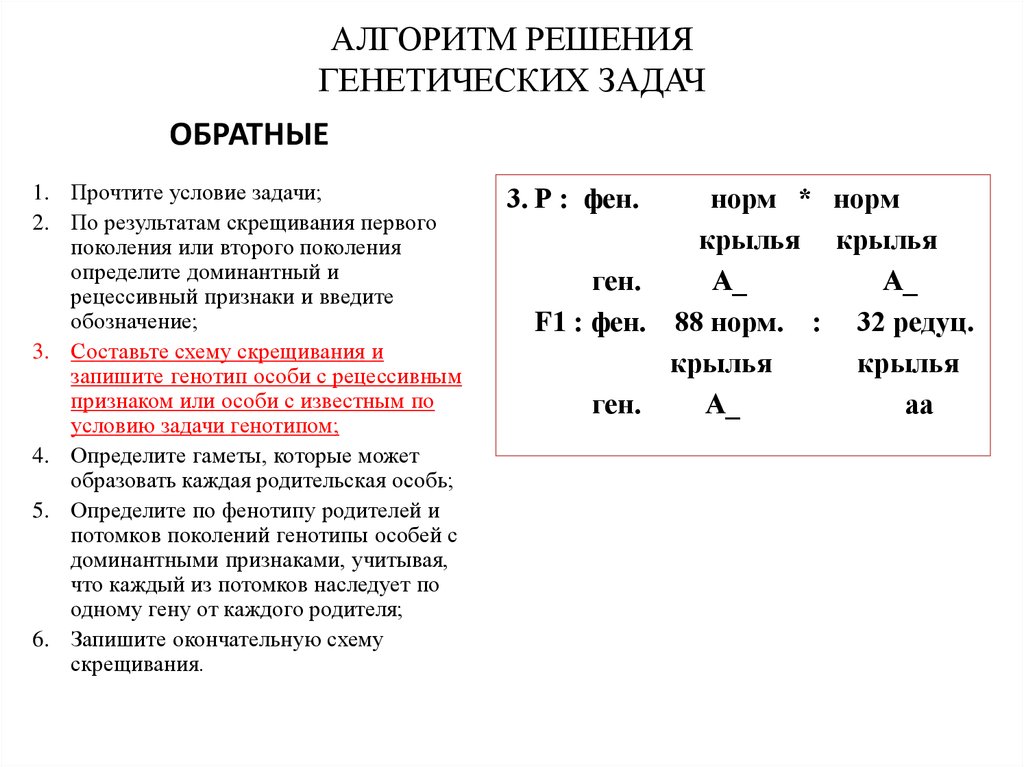 Задачи по генетике