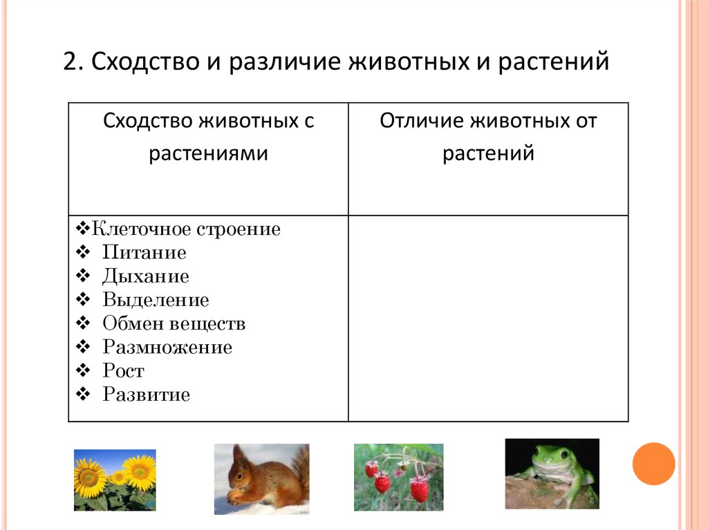 Есть сходства и различия. Различия между животными и растениями биология 7. Различие между животными и растениями таблица 7. Сходство и различие животных и растений биология 7 класс таблица. Таблица признаки сходства и различий растений и животных.