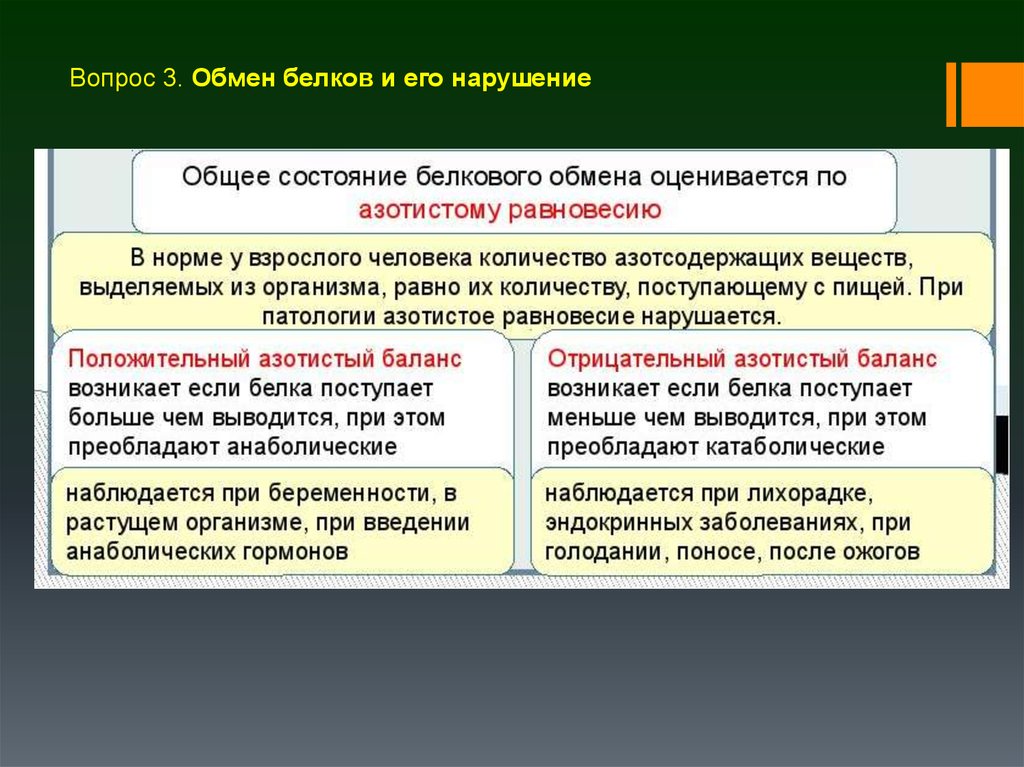 Нарушение белков. Изменение белкового обмена при лихорадке.