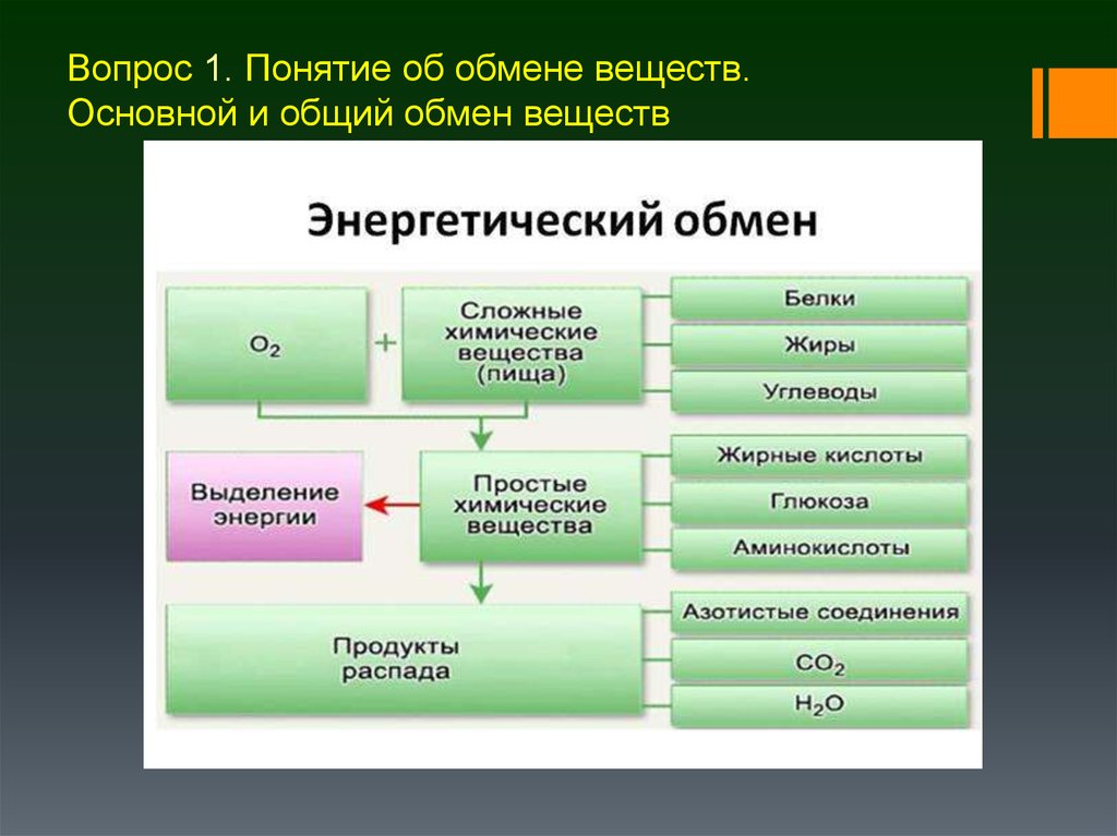 Энергетический обмен веществ. Энергетический обмен схема. Схема процессов энергетического обмена. Расщепление органических веществ схема. Процессы энергетического обмена в организме человека.