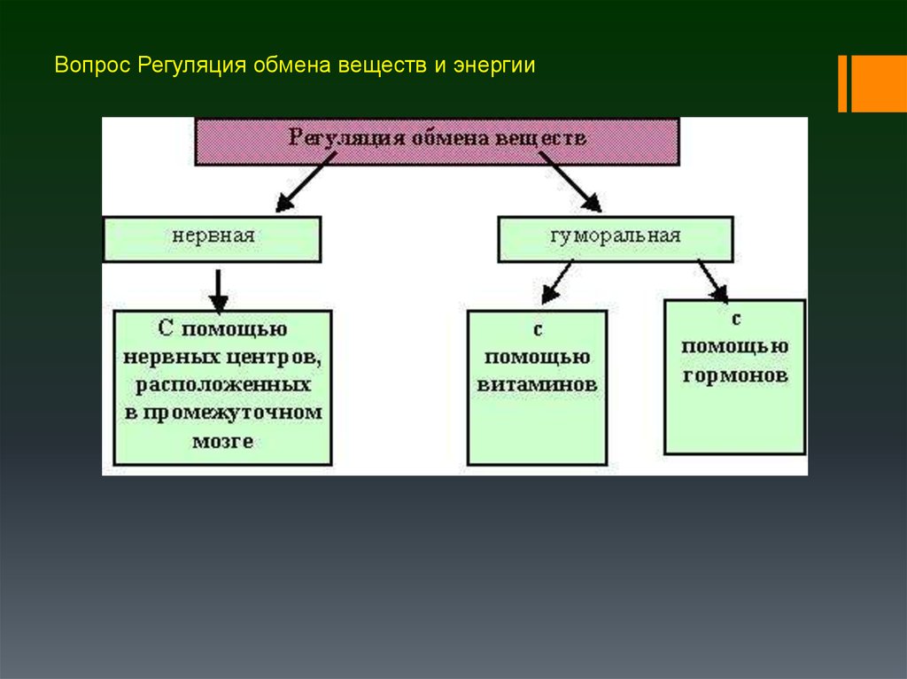 Какая существует связь между обменом веществ. Патофизиология обмена веществ и энергии. Что такое нервная регуляция в биологии 8 класс определение.