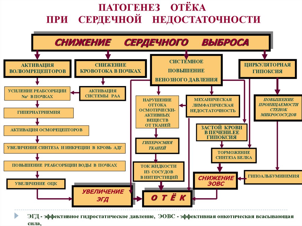 Отеки при сердечной недостаточности. Нарушение водно-электролитного баланса патофизиология. Нарушение водного обмена патогенез отеков. Типовые нарушения водного баланса патофизиология. Нарушение электролитного обмена патофизиология.