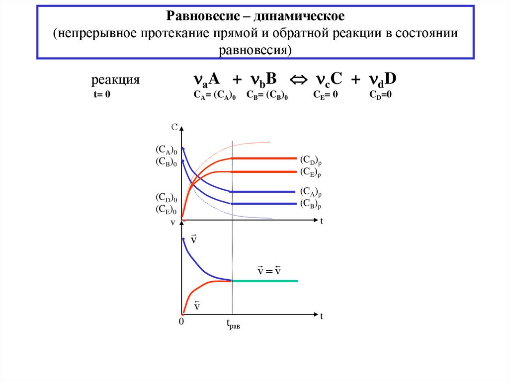 Равновесие – динамическое (непрерывное протекание прямой и обратной реакции в состоянии равновесия)