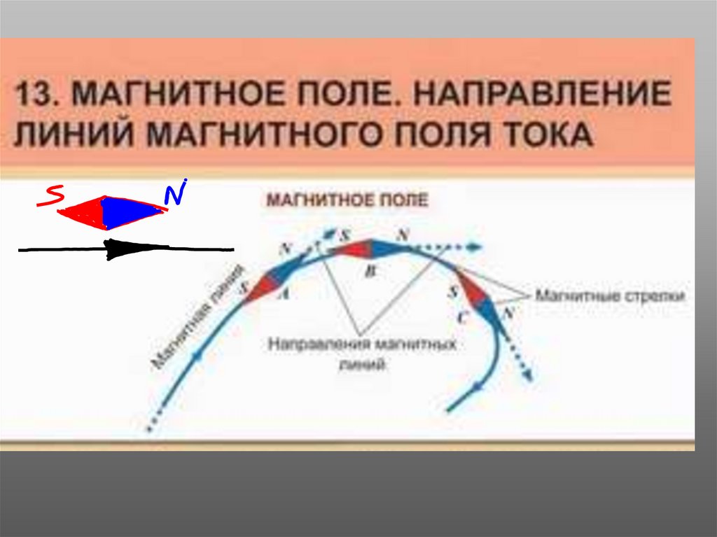 Силовые линии магнитной индукции. Что принимают за направление магнитных линий. Что принято за направление магнитных линий.