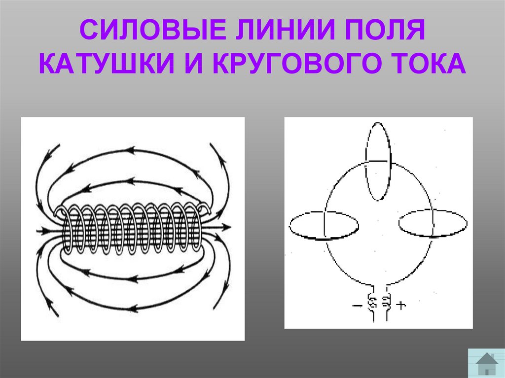 Рисунок токов и полей. Силовые линии поля кругового тока. Магнитные силовые линии кругового тока. Линии индукции кругового тока. Силовые линии магнитного поля кругового тока.