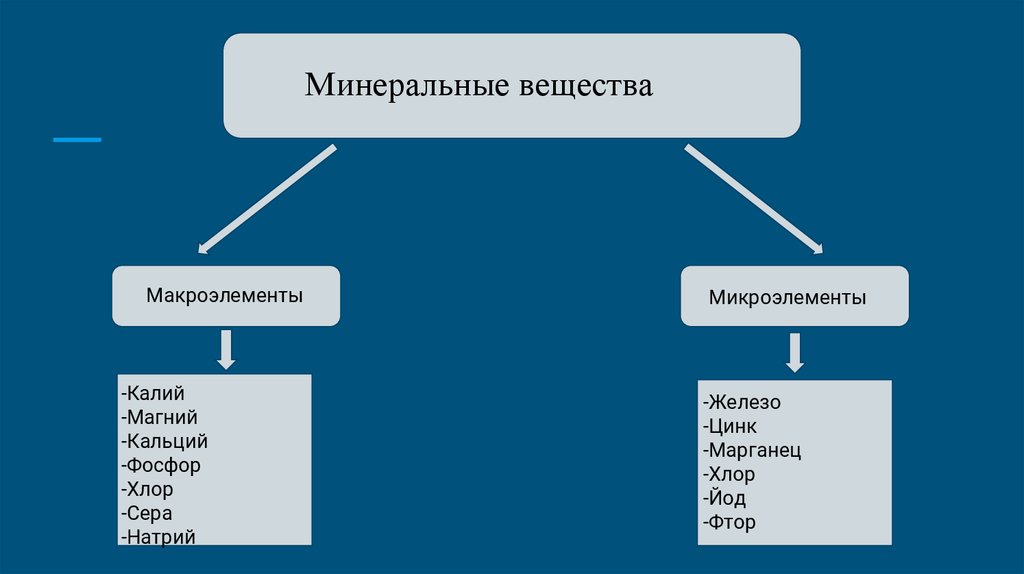 Обмен веществ калий натрий кальций