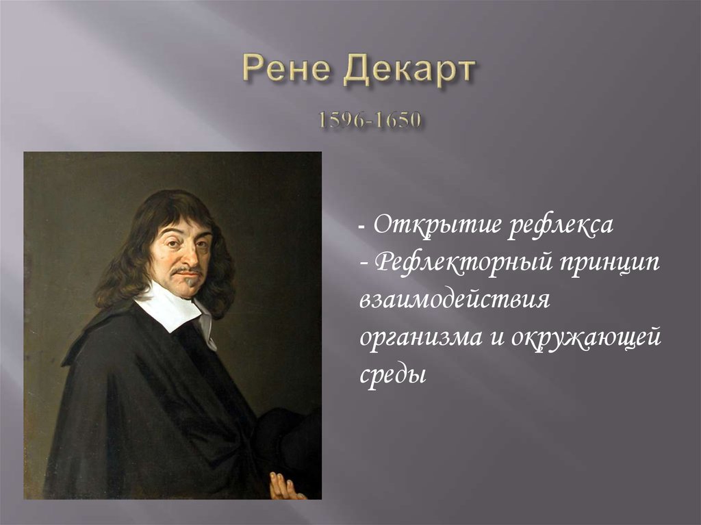 Рене декарт открытия. Рене Декарт вклад в науку. Рене Декарт вклад в биологию. Рене Декарт рефлекс. Учение о рефлексе Декарт.