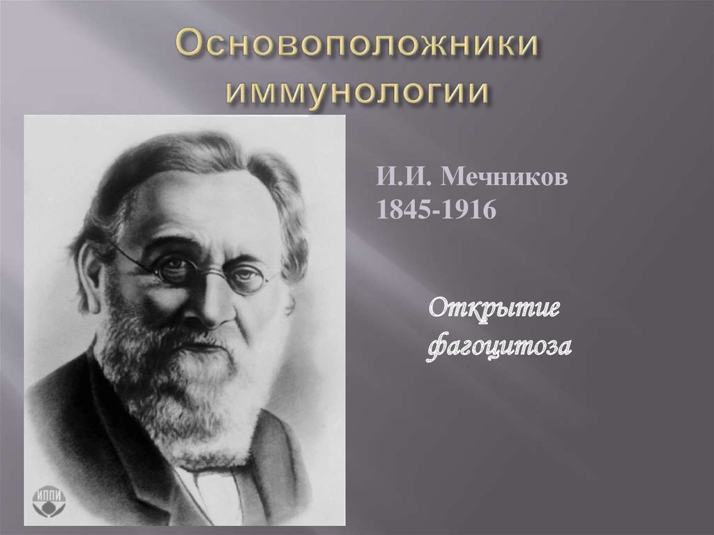 Мечников открыл. Открытия Мечникова в иммунологии. Мечников и.и. (1845-1916).