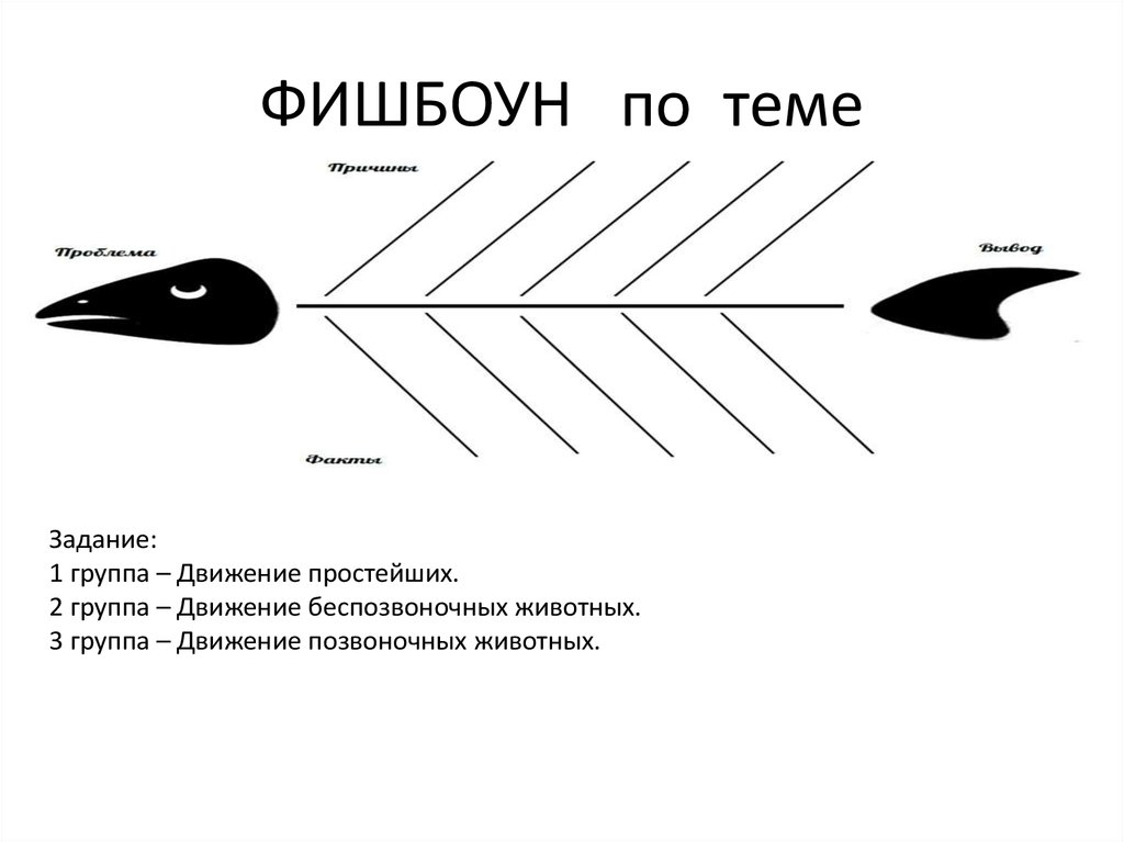 Фишбоун по истории