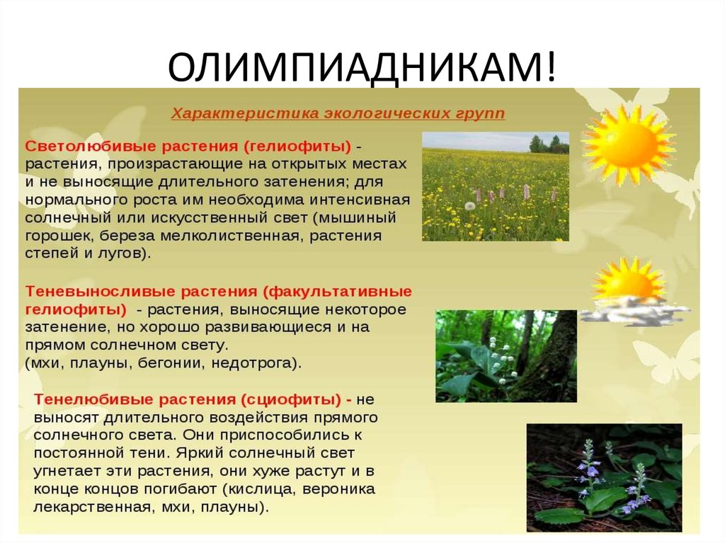 ОЛИМПИАДНИКАМ!