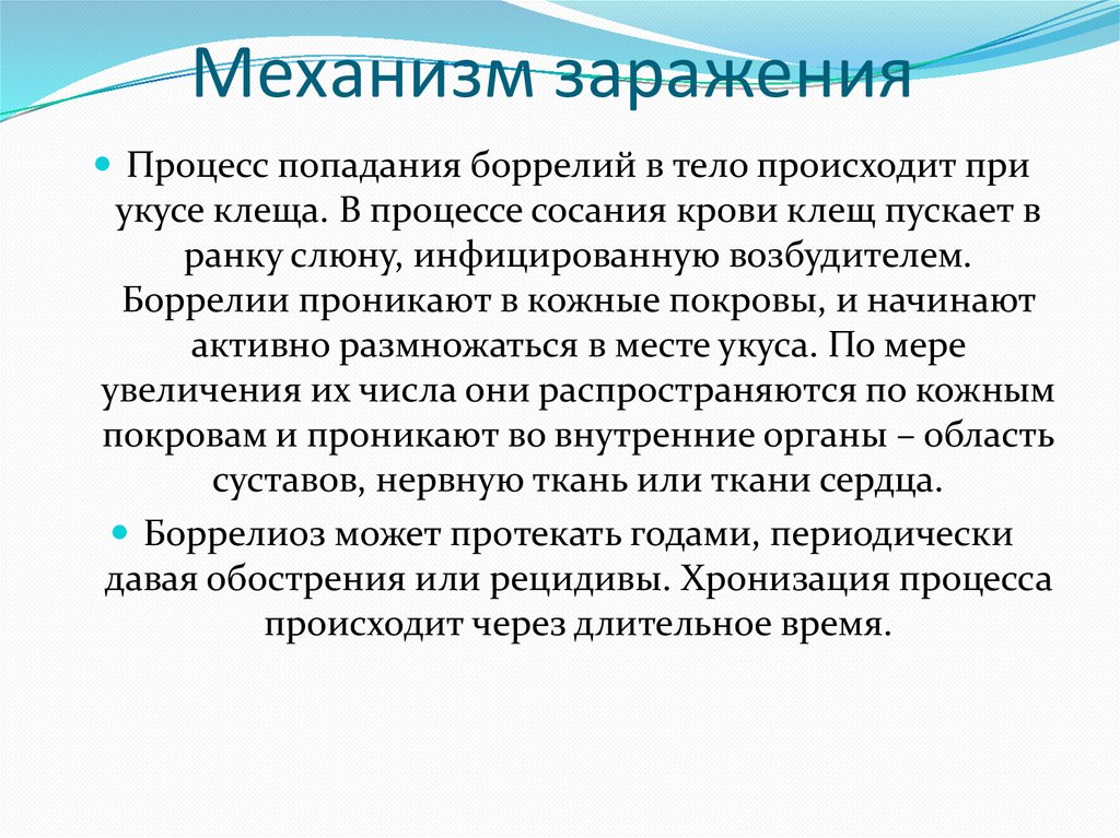 Механизмы заражения. Боррелии механизм заражения. Механизм заражения при боррелиозе. Путь передачи бореллии.