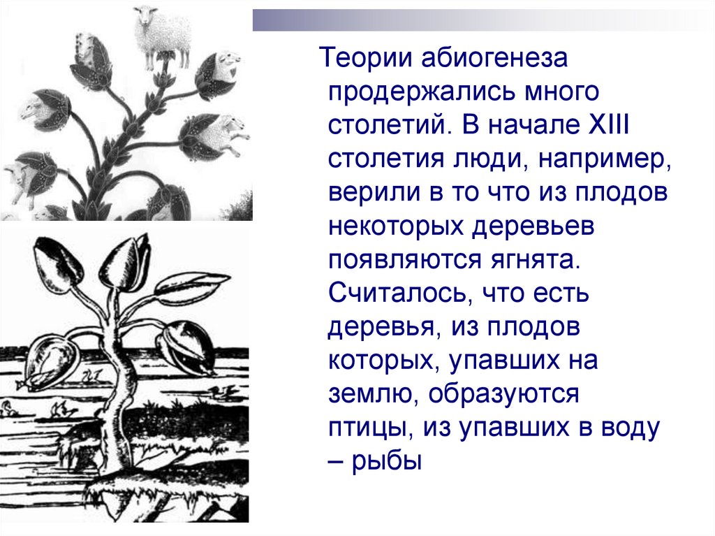 Пример какой гипотезы о возникновении жизни указан на картинке цветок