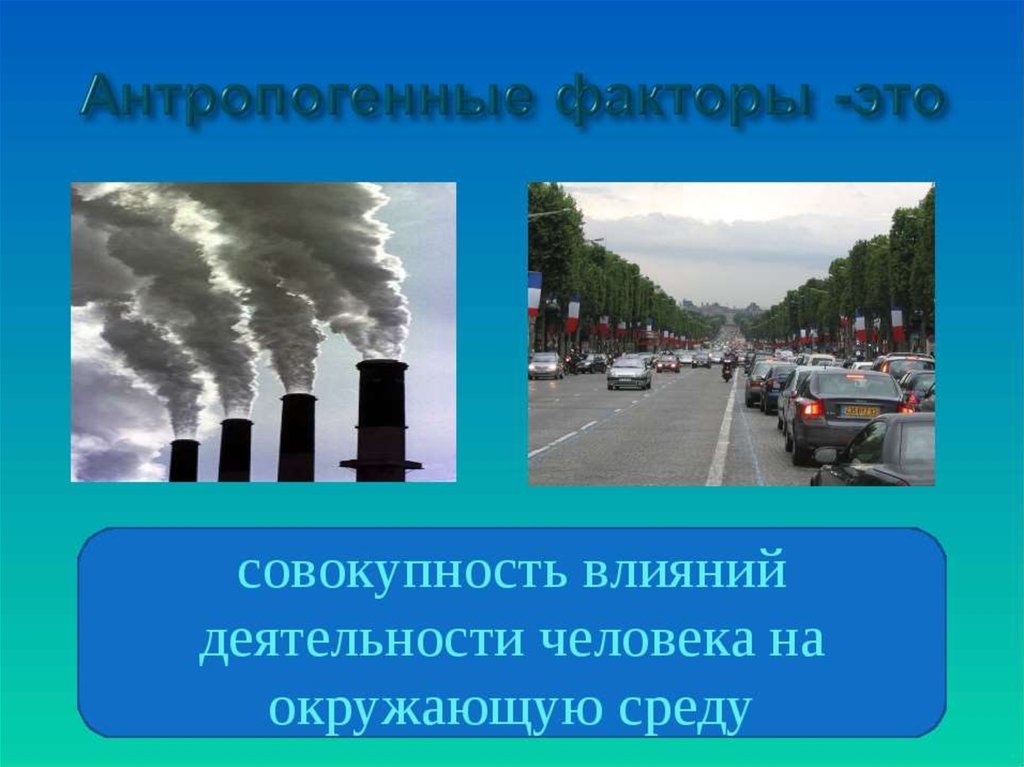 Прямое антропогенное воздействие. Презентация антропогенное загрязнение окружающей среды. Антропогенное воздействие на окружающую среду. Вещества которыми автомобильный транспорт загрязняет природу. Антропогенная деятельность человека.