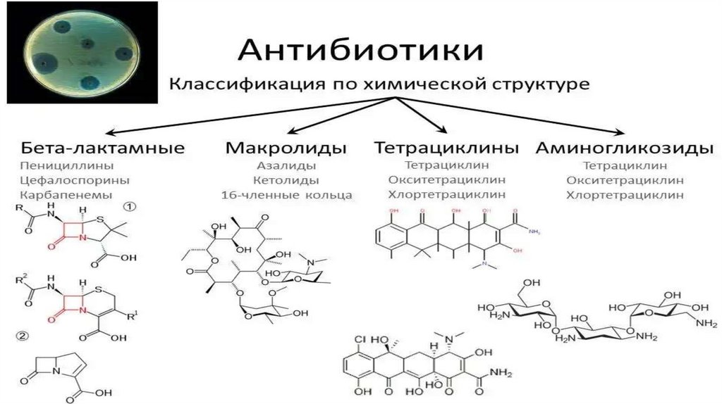 Современные антибиотики презентация