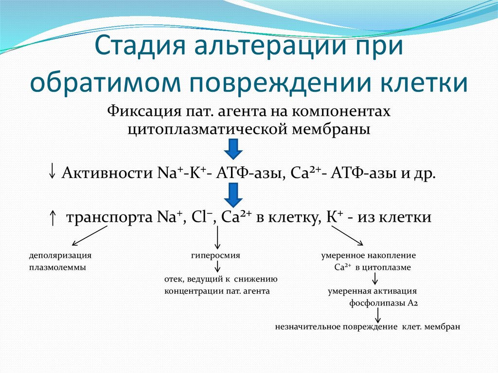 Этапы восстановления