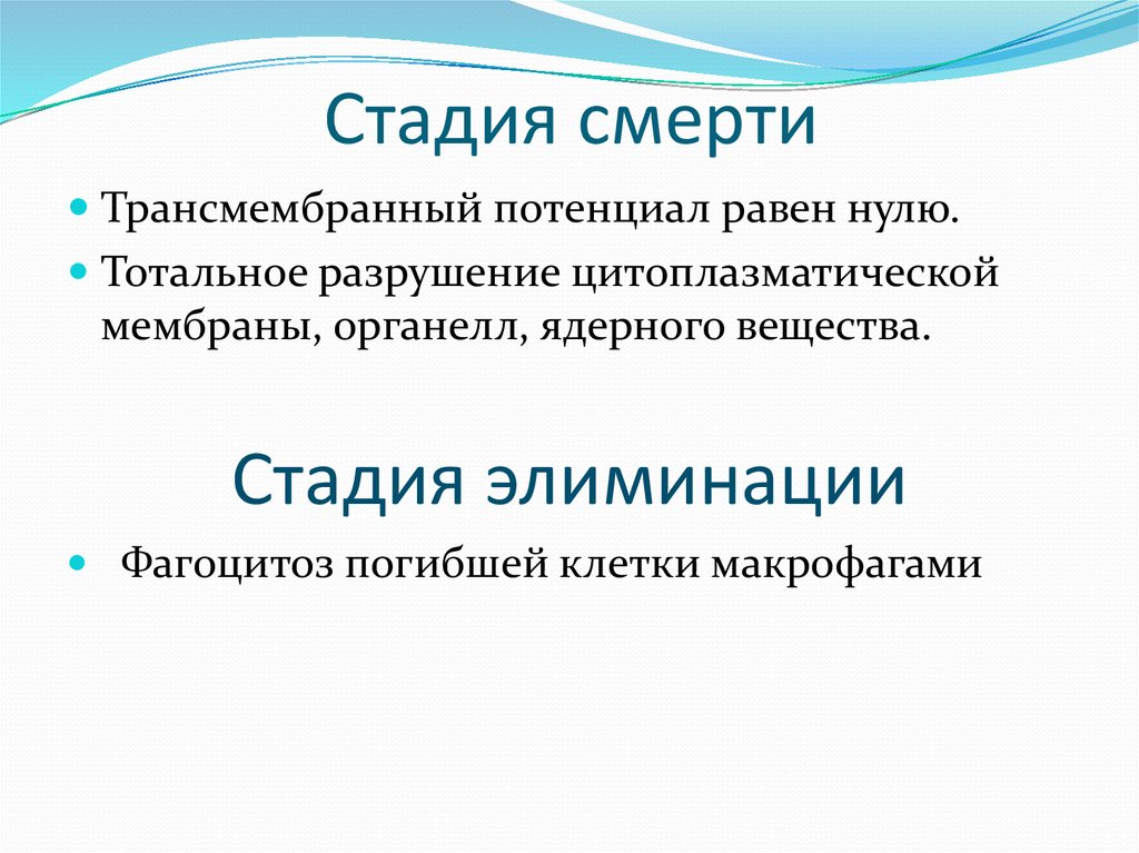 Этапы умирания. Этапы смерти. Фазы смерти человека. Основные этапы смерти. Стадии умирания.