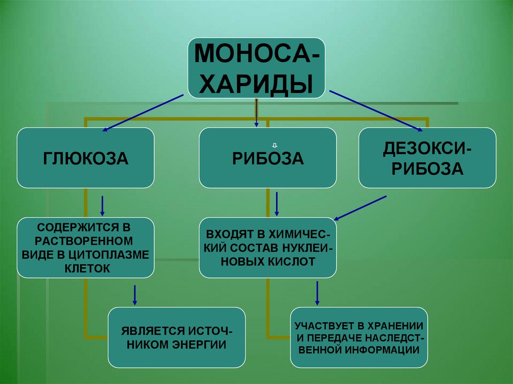 Класс органических веществ биология. Вещества клетки. Органические вещества клетки. Основные органические соединения живой клетки. Органические вещества клетки организмов.