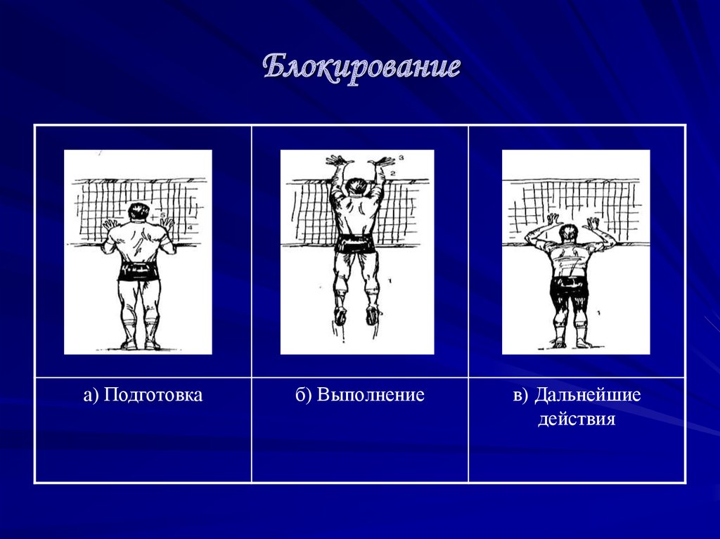 Блокирование это. Физика в волейболе. Волейбол. Игровая техника и тактика.. Физика в волейболе проект. Волейбол в физике.