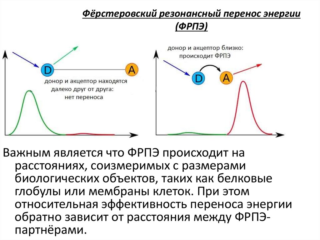 Перенос энергии волной