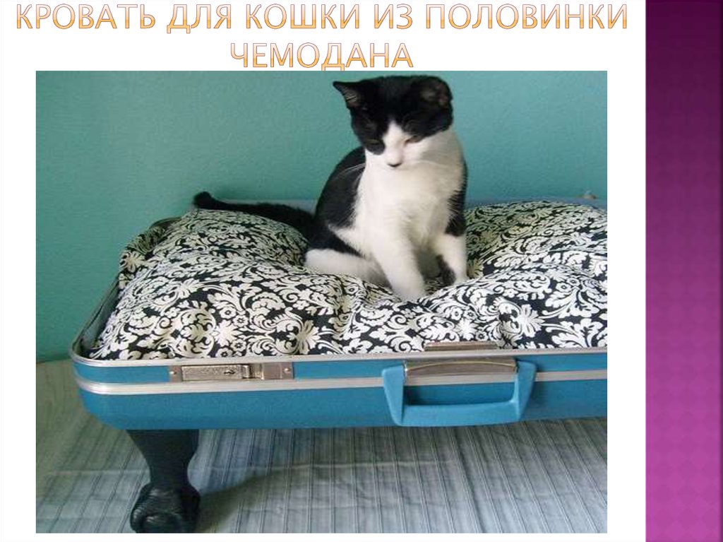 Кровать для кошки из половинки чемодана