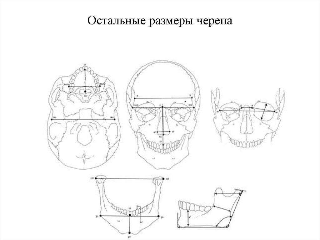 Вешалка для шлема череп чертеж