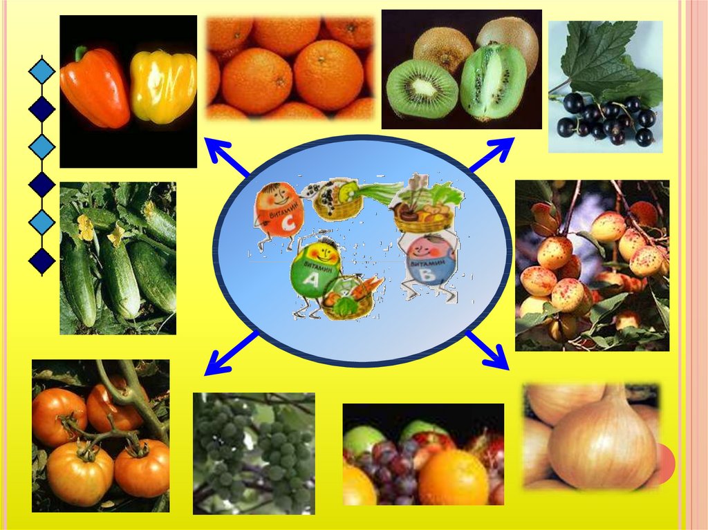 Овощи и фрукты 1 класс окружающий мир