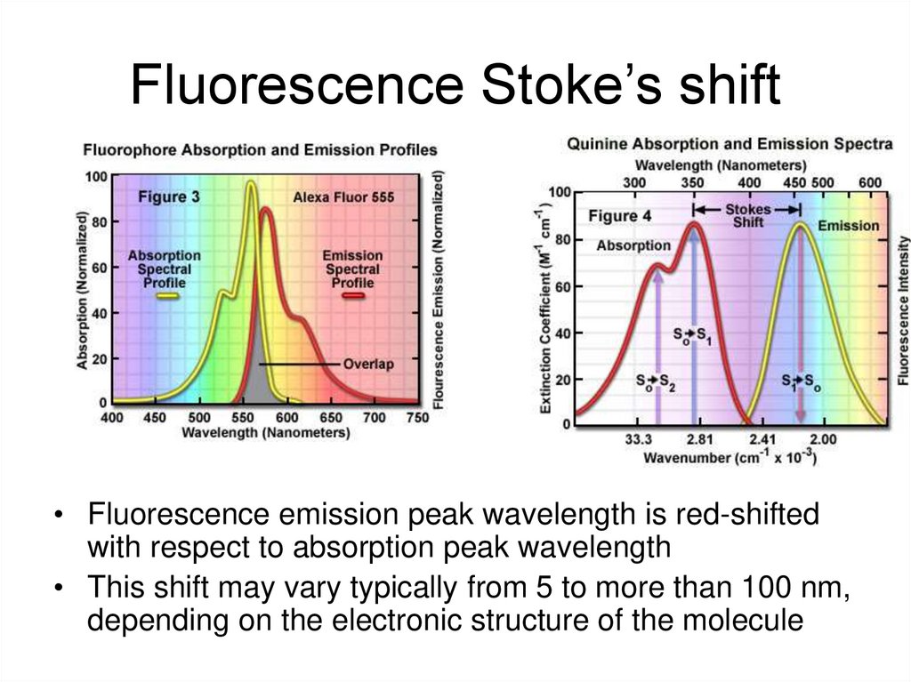 Fluorescence Stoke’s shift