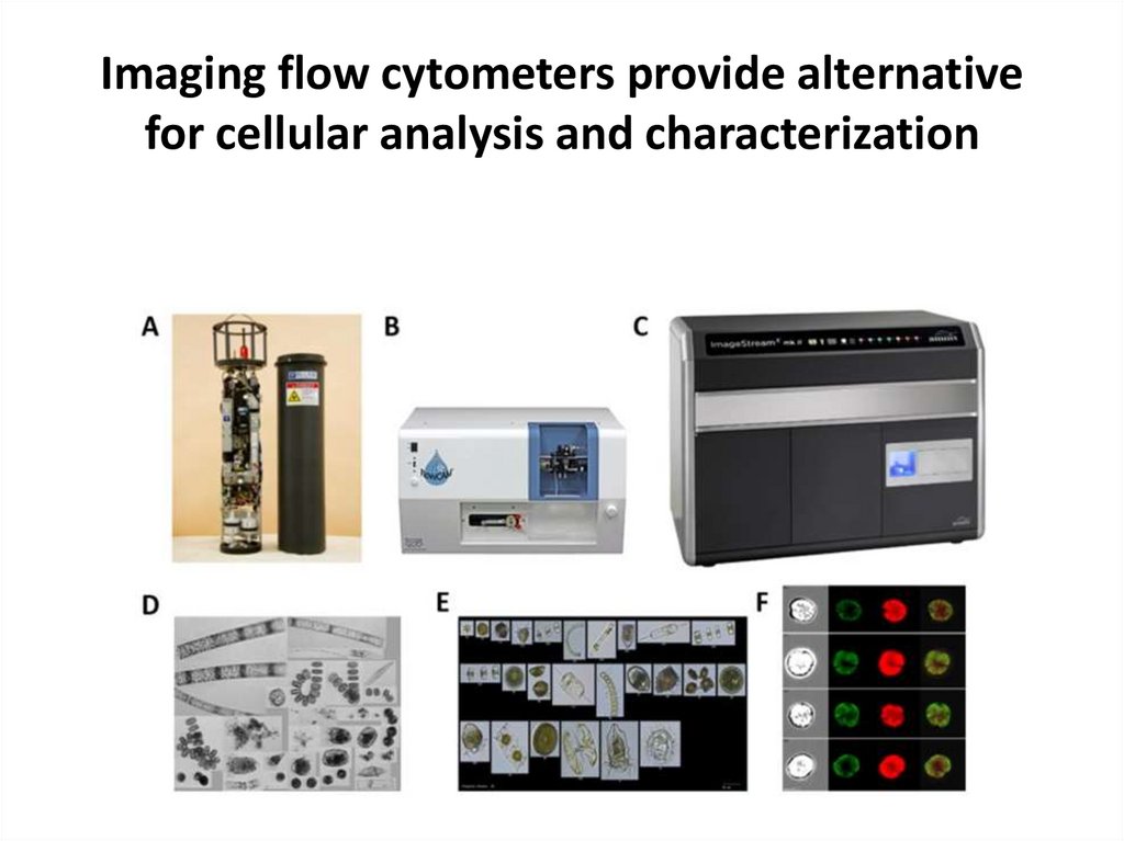 Imaging flow cytometers provide alternative for cellular analysis and characterization
