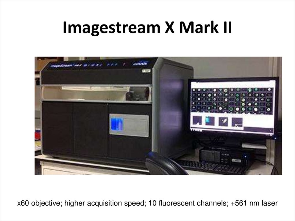 Imagestream X Mark II