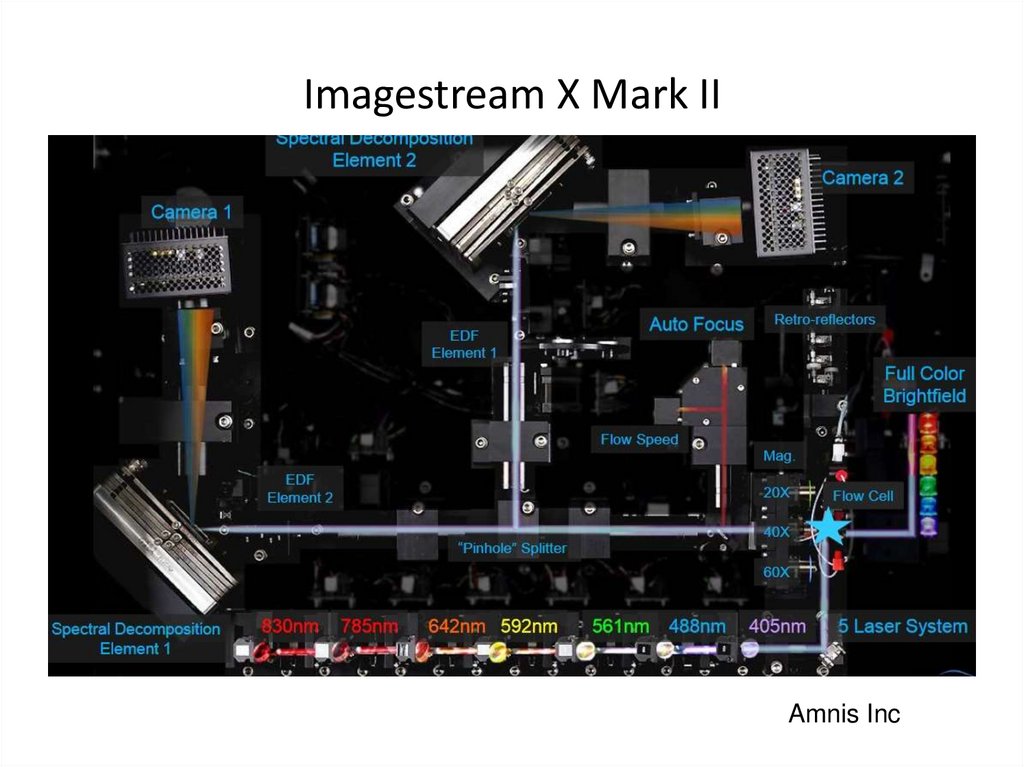Imagestream X Mark II