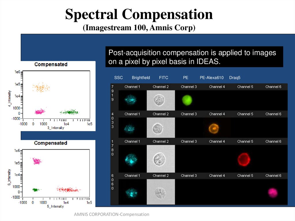 Spectral Compensation (Imagestream 100, Amnis Corp)