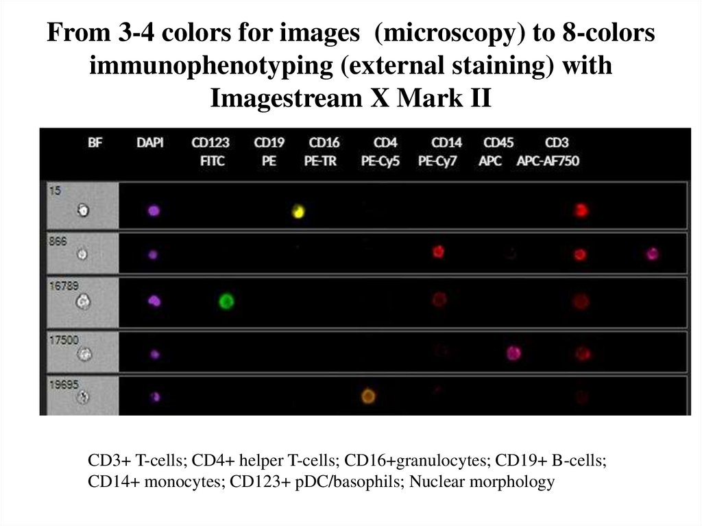 From 3-4 colors for images (microscopy) to 8-colors immunophenotyping (external staining) with Imagestream X Mark II